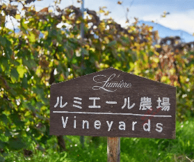 日本葡萄酒产区.png